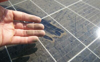 Book a Professional Solar Panel Cleaning Service Near You